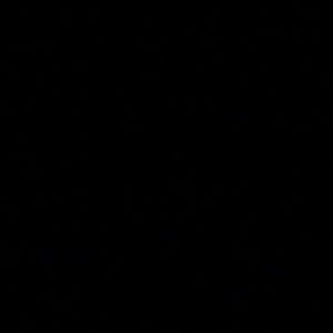 Meet your Posher, Jasmin